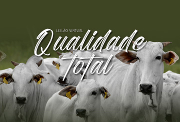 LEILÃO VIRTUAL QUALIDADE TOTAL